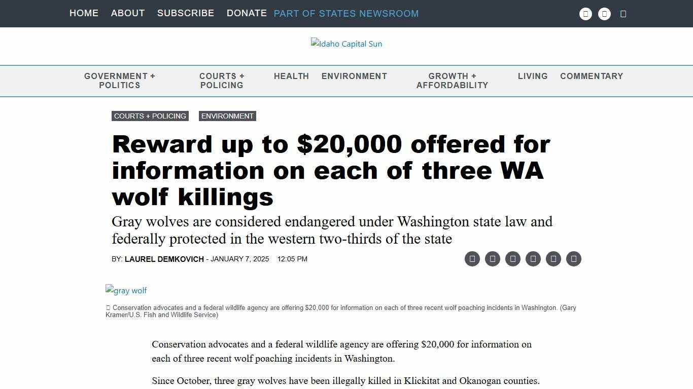 Reward up to $20,000 offered for information on each of three WA wolf killings • Idaho Capital Sun